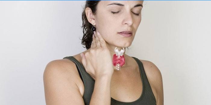 L'emplacement de la glande thyroïde chez une femme