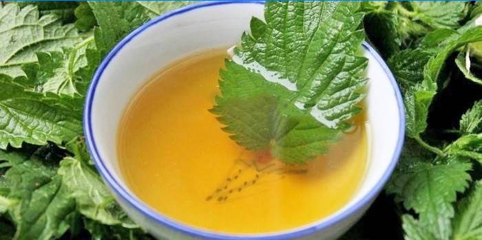 Bouillon d'ortie contre la chute des cheveux