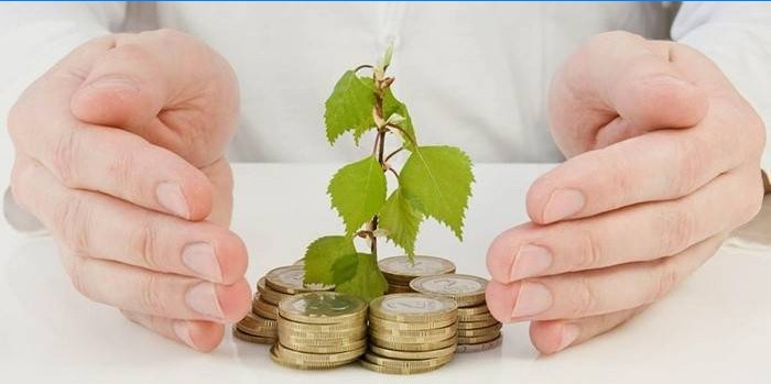 Contribution rentable