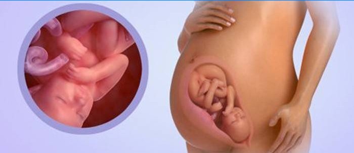 Bébé à 38 semaines de grossesse