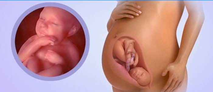 Bébé à 39 semaines de grossesse