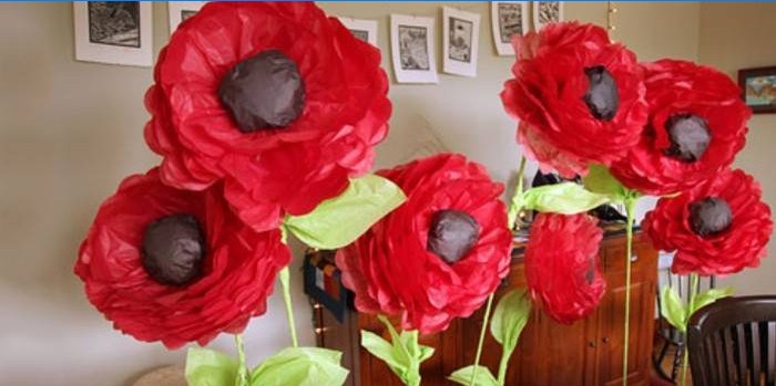 Coquelicots grands et volumineux