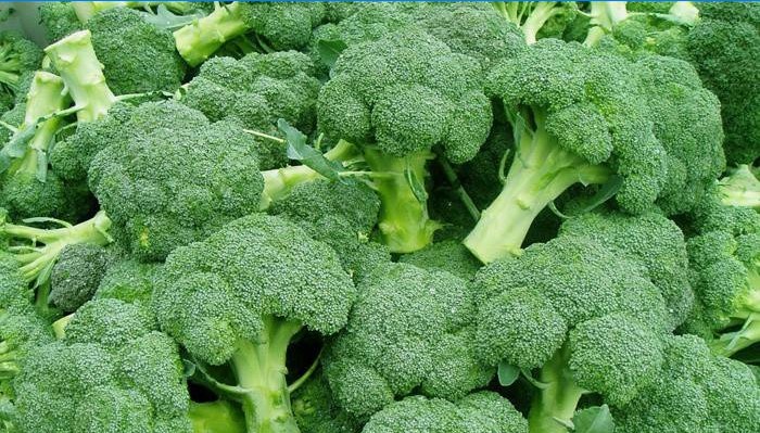 Brocoli frais