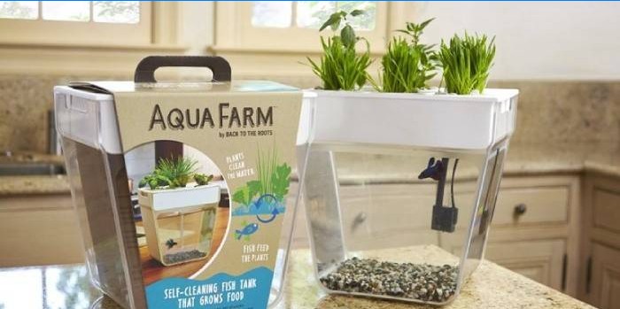 Ferme aquatique