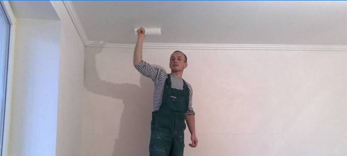 L'homme peint le plafond
