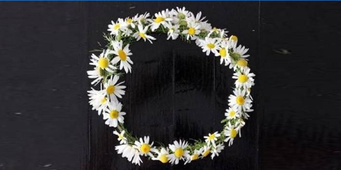 Couronne de marguerites prête à l'emploi