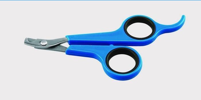 Coupe-ongles chat