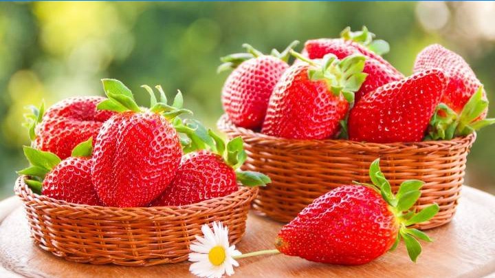 Comment choisir des fraises