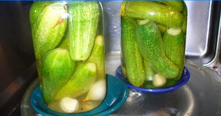 Blancs de concombre