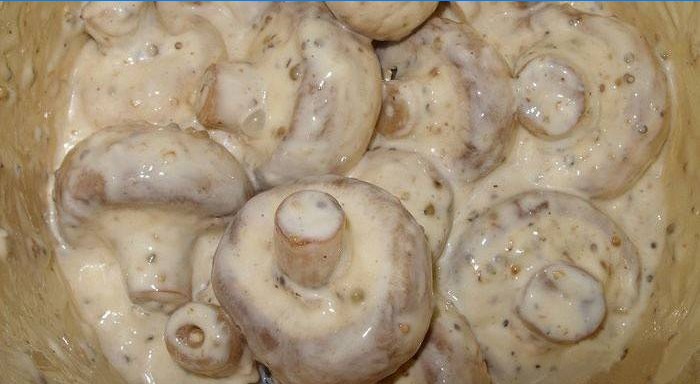Champignons à la crème sure