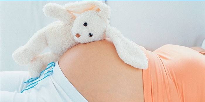Les avantages et les contre-indications des canneberges pendant la grossesse