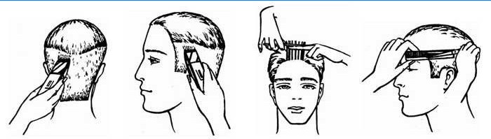 Schéma détaillé de création de coupe de cheveux de boxe