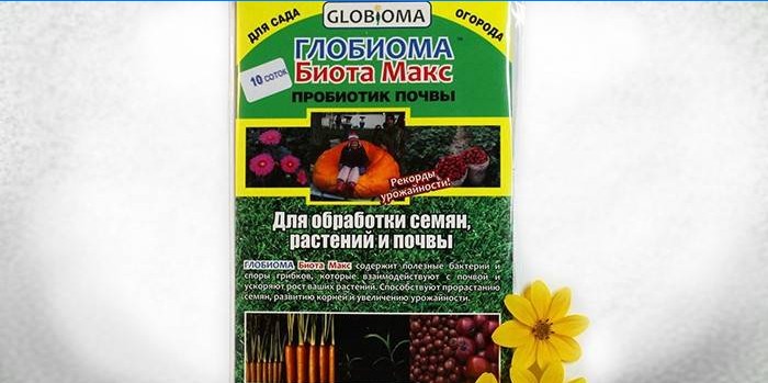 Sol probiotique Globioma Biota Max