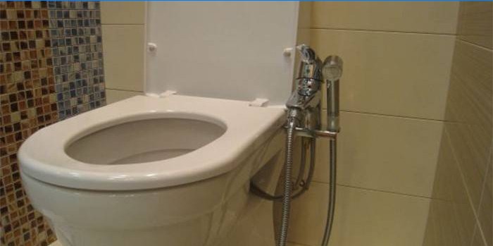 Douche hygiénique reliée aux toilettes
