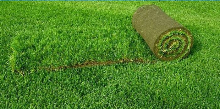 La pelouse artificielle posée sur un site