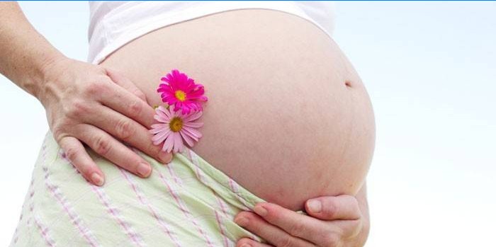 Fille enceinte