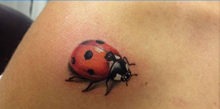 Coccinelle Tattoo 3D