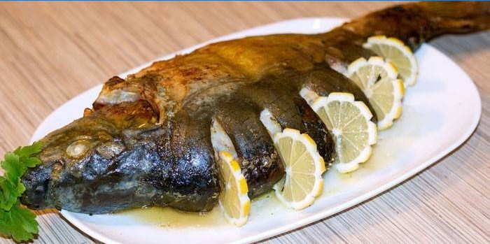 gâterie savoureuse sur une assiette
