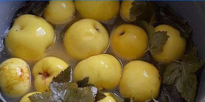 Baril aux pommes trempées