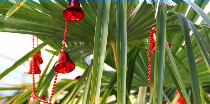 Décorations d'arbre de Noël sur des branches de palmier