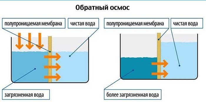 Schéma du fonctionnement de l'osmose inverse