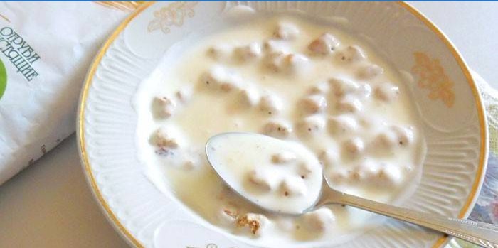 Avec du yaourt fait maison dans une assiette
