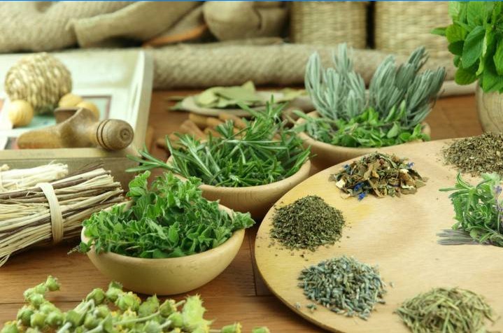 Frais à base de plantes