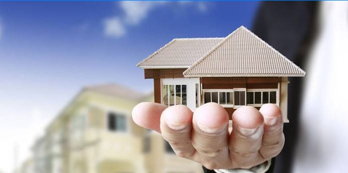 Maison dans la paume de votre main