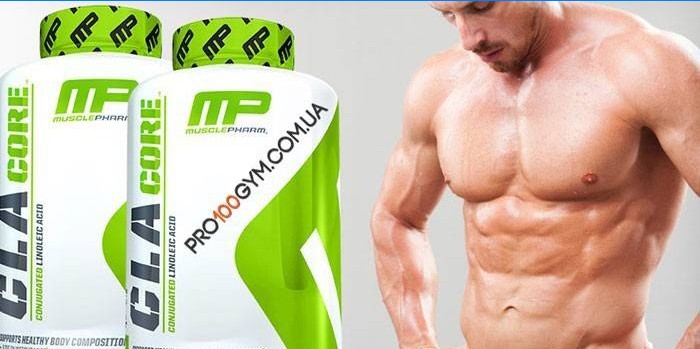 Deux boîtes de brûleur de graisse CLA Core MusclePharm et un homme