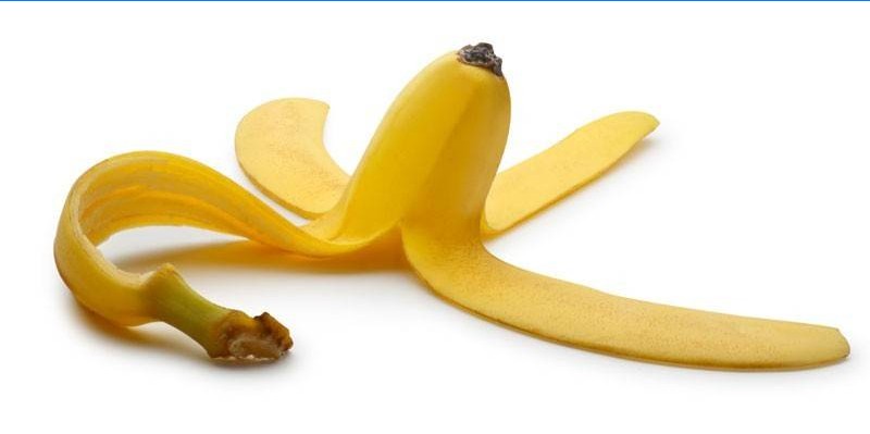 La peau de banane  comme engrais comment faire et utiliser 