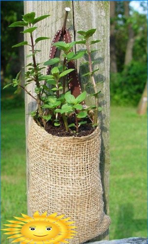 Parterres et parterres de fleurs verticaux à faire soi-même