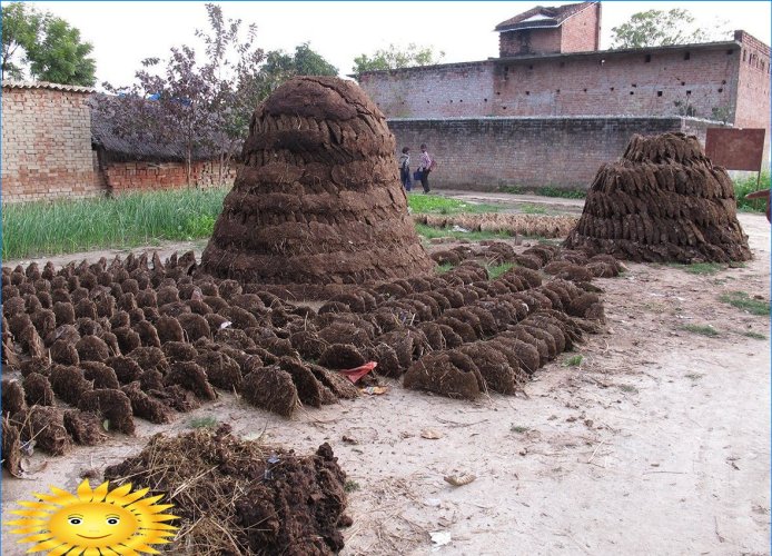 Briquettes de combustible à partir de fumier