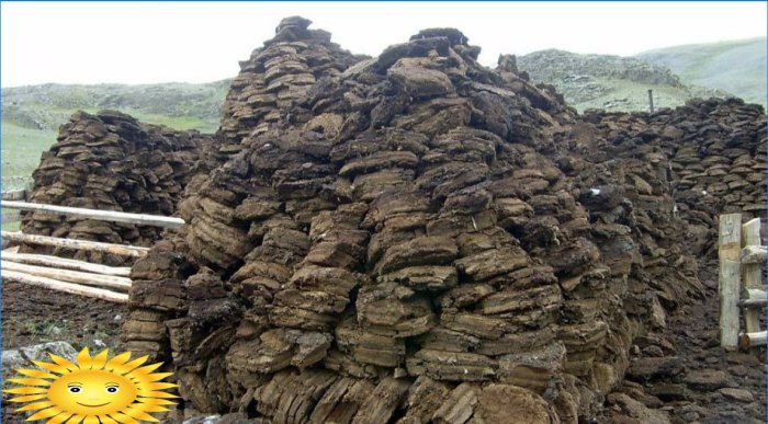 Briquettes de combustible à partir de fumier