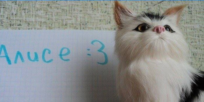 Signal de chat