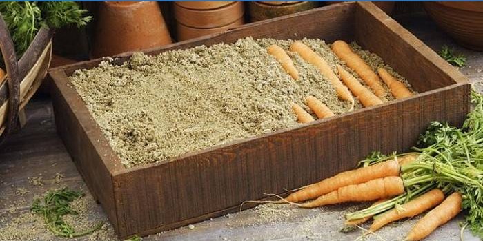 Dans le sable à la craie