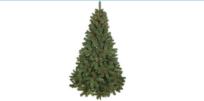 Modèle de conte de fées de Noël