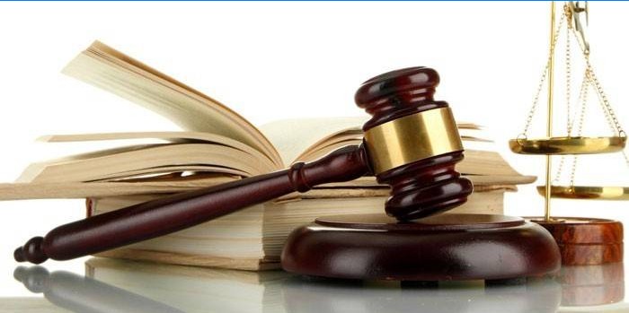 Livre, marteau d'arbitre et écailles