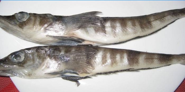Deux carcasses de poisson des glaces