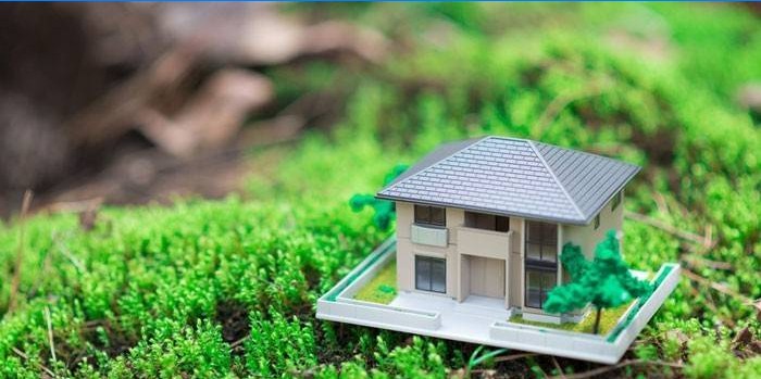 Maison en herbe