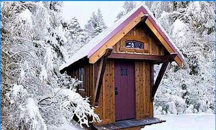 Petite maison Tumbleweed
