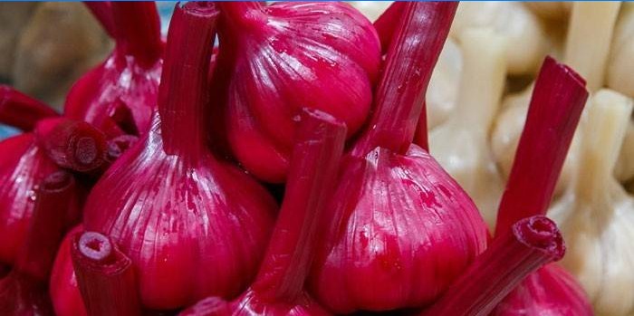 Têtes d'ail de betteraves marinées