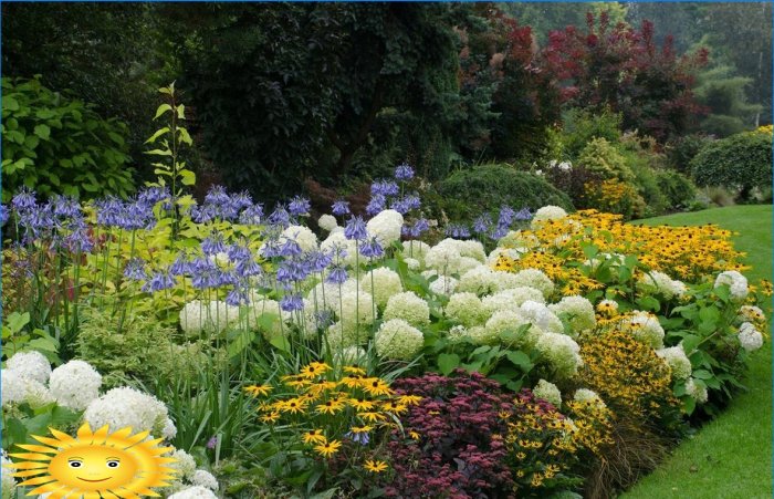 Mixborders sur le site: exemples de conception, sélection de plantes