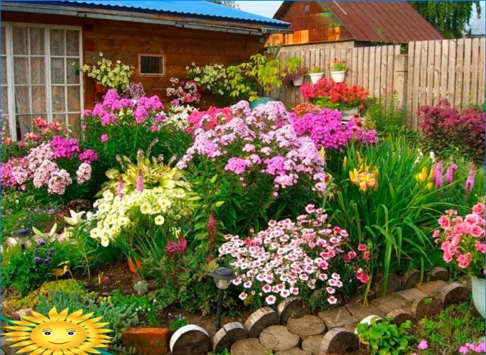 Mixborders sur le site: exemples de conception, sélection de plantes
