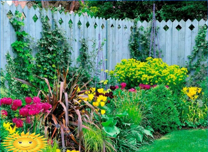 Mixborders sur le site: exemples de conception, sélection de plantes
