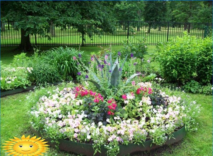 Mixborders sur le site: exemples de conception, sélection de plantes