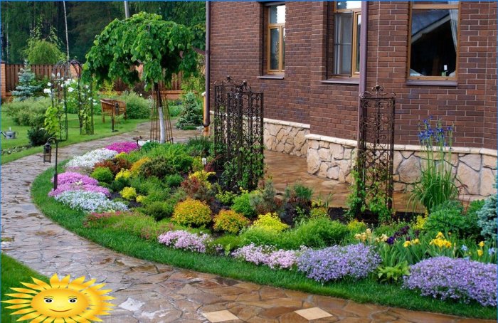 Mixborders sur le site: exemples de conception, sélection de plantes