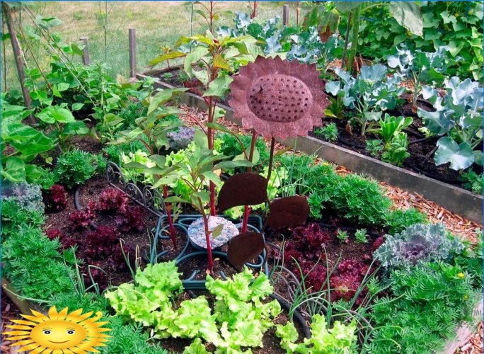 Mixborders sur le site: exemples de conception, sélection de plantes
