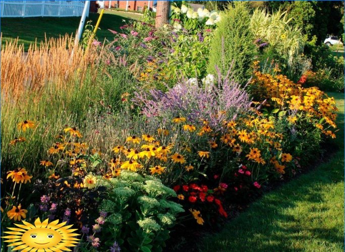 Mixborders sur le site: exemples de conception, sélection de plantes