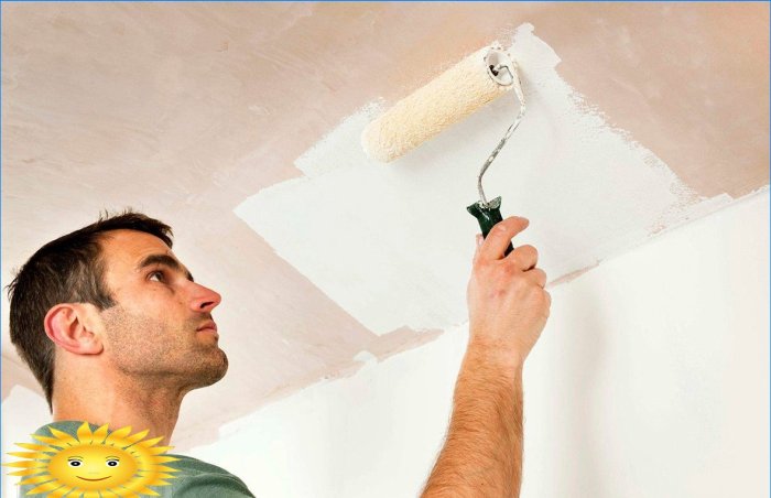 Options de conception de plafond dans la salle de bain