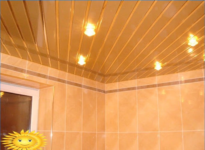 Options de conception de plafond dans la salle de bain